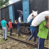 Humanitarian Aid from India