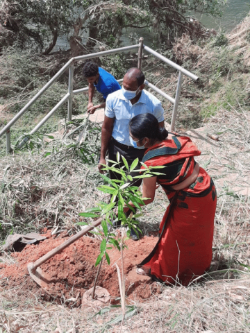 75th Independence Day Plantation Program and Invasive Plant Removal Program