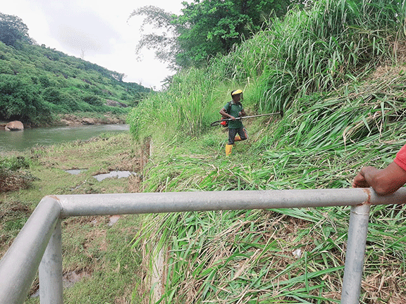75th Independence Day Plantation Program and Invasive Plant Removal Program