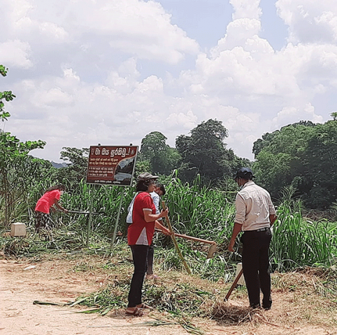 75th Independence Day Plantation Program and Invasive Plant Removal Program
