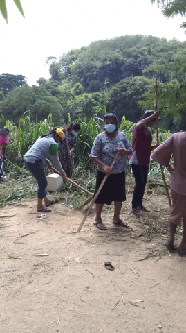75th Independence Day Plantation Program and Invasive Plant Removal Program