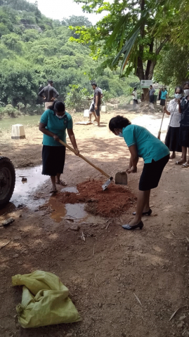 75th Independence Day Plantation Program and Invasive Plant Removal Program