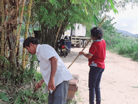 75th Independence Day Plantation Program and Invasive Plant Removal Program