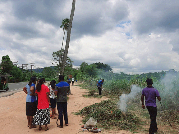 75th Independence Day Plantation Program and Invasive Plant Removal Program