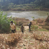 75th Independence Day Plantation Program and Invasive Plant Removal Program
