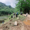 75th Independence Day Plantation Program and Invasive Plant Removal Program