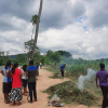 75th Independence Day Plantation Program and Invasive Plant Removal Program